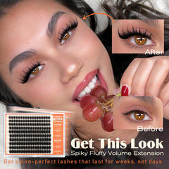 Calphdiar Manga Lash Clusters 12mm for balanced everyday flutter.