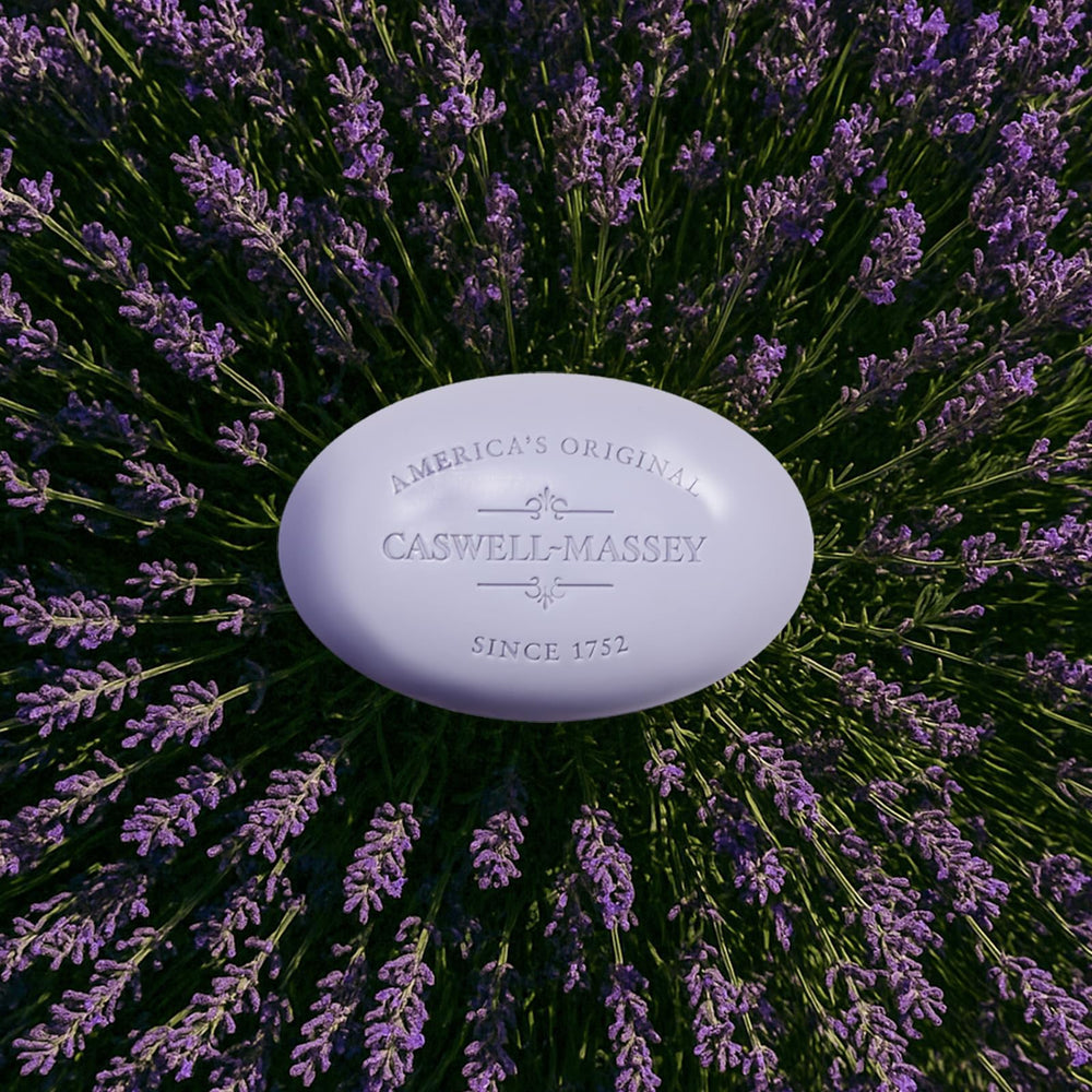 Caswell-Massey Lavender soap hand-washing scene promoting gentle cleansing.