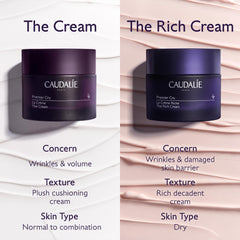 Caudalie Premier Cru Rich Cream cap close-up with clean design
