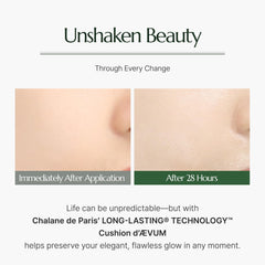 CHALLANS DE Paris Cushion Ævum foundation swirled on skin for even coverage
