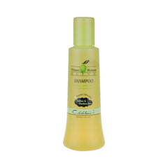 Chihtsai Olive Shampoo bottle demonstrates gentle cleansing and moisture for dry hair.
