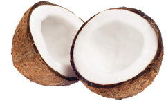 Cocojojo fractionated coconut oil label close up shows vegan and palm free formula