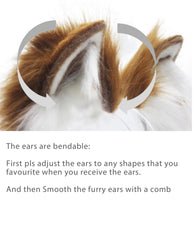 CoFoWo ears worn on model ready for kawaii cosplay and events