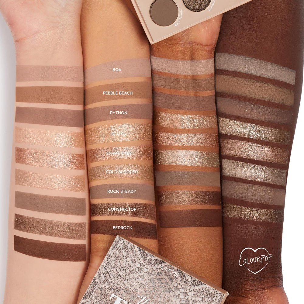 ColourPop That's Taupe brush application demonstrates easy color payoff with flat brushes.