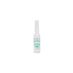 Coup d'Eclat Marine Collagen Ampoules glass vial highlights fast-absorbing serum.