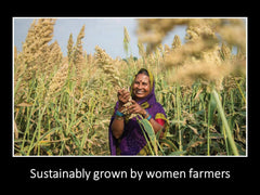 DAANA Moringa Oil packaging highlights fair trade sourcing.
