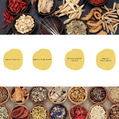 Daeng Gi Meo Ri Ki Gold Premium Treatment ingredients list featuring herbs and water