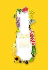 Daeng Gi Meo Ri rapeseed oil droplets illustrate nourishing moisture for scalp comfort
