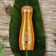 Daeng Gi Meo Ri Yellow Blossom Shampoo label showcasing premium ingredients for daily use