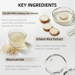 DEEOM Real Yam toner with rice water and niacinamide brightening potential