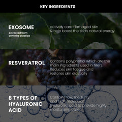 Packaging and ingredients reveal peptides and vitamins for DERMALOGY by NEOGENLAB vitality