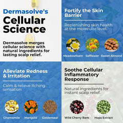 Dermasolve packaging front showing trusted dermatologist-approved branding