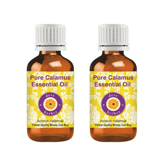 Deve Herbes Calamus essential oil in amber glass bottle preserves potency for daily use.