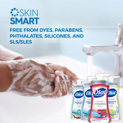 Dial foaming hand wash spring water delivers crisp aroma and quick rinse for busy kitchens.