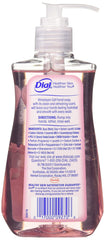 Dial Himalayan Pink Salt Water Lily hand soap pack of 4 for reliable daily care.