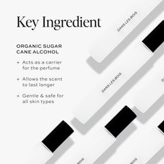 DIME Dans Les Bois packaging box, sustainable design for gifting.