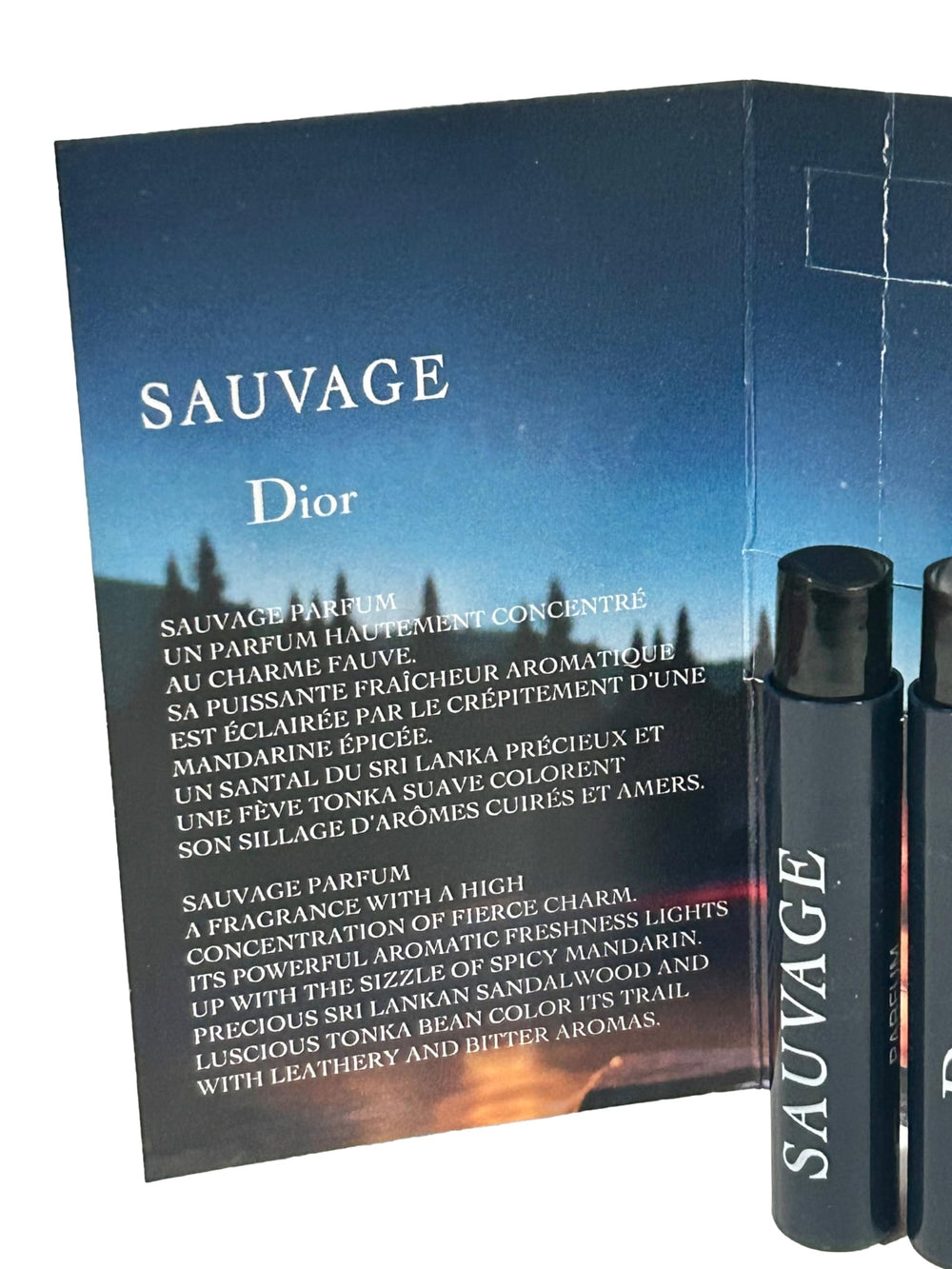 Dior Sauvage hero shot night evokes moody, versatile fragrance vibes.