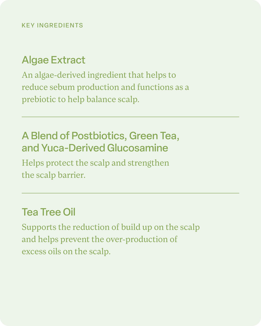 Divi Hydrating Shampoo with jojoba seed oil soothing dry hair close-up.