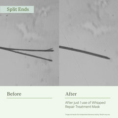 Divi Whipped Repair Mask 3-minute action demonstration