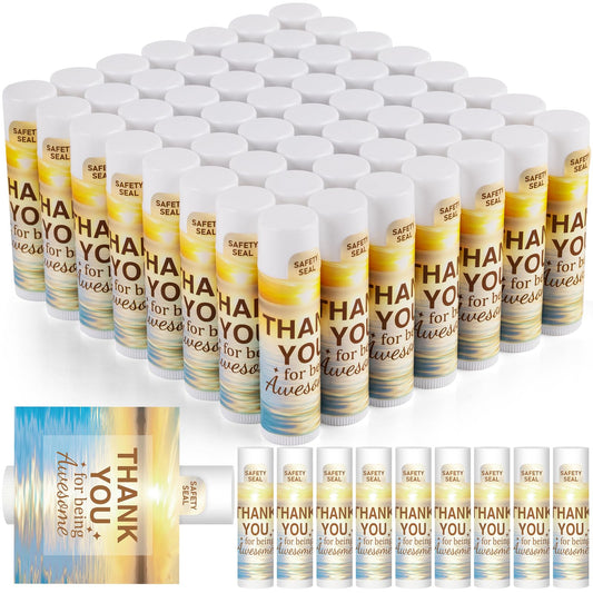 DMSKY lip balm bulk vanilla pack front view for gifting and care packages.