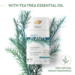 Dove Care by Plants Tea Tree Deodorant Stick natural fragrance with 100 percent origin tea tree scent
