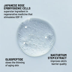 Dr Brandt Dare to Age Nasturtium Stem extract strengthens barrier.