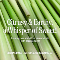 Dr. Bronner's Lemongrass Sugar Soap for refreshing facial cleansing