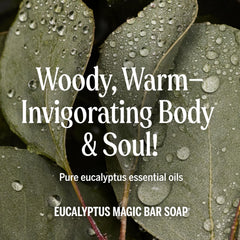 Dr. Bronner's Pure-Castile eucalyptus bar for facial cleansing in daily routine.
