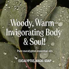 Dr. Bronner's regenerative organic-certified oils underpin sustainable product care