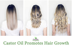 Dr Joe Lab Castor Oil glass bottle setup, premium cold-pressed nourishment for lashes and nails.