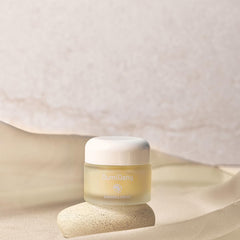 DumiDang Chickpea Cream texture demonstrates quick absorption without greasiness.