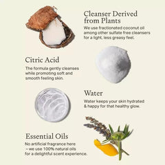 Display of vegan, all-natural body wash with clean, safe ingredients.