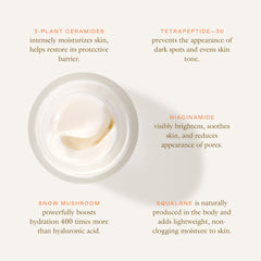 EADEM Cloud Cushion vegan packaging reflects ethical beauty choice.
