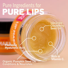 Illustration of cloudberry and pumpkin seed oils used for deep conditioning.