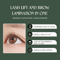 ECOFAN Lash Lift Kit professional-use setup with tools and cups.