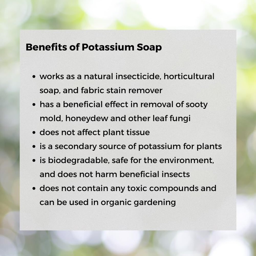 Ecoworm Potassium Soap Concentrate pots close-up demonstrates clean containers for planting.