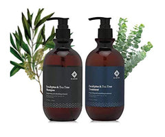 Elabore Eucalyptus & Tea Tree Shampoo bottle with refreshing aroma and scalp-soothing benefits.