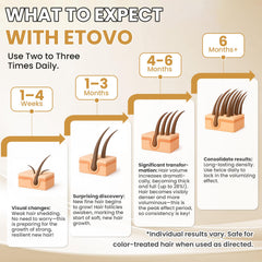 ETOVO minoxidil drops on scalp targeting dormant follicles for growth.