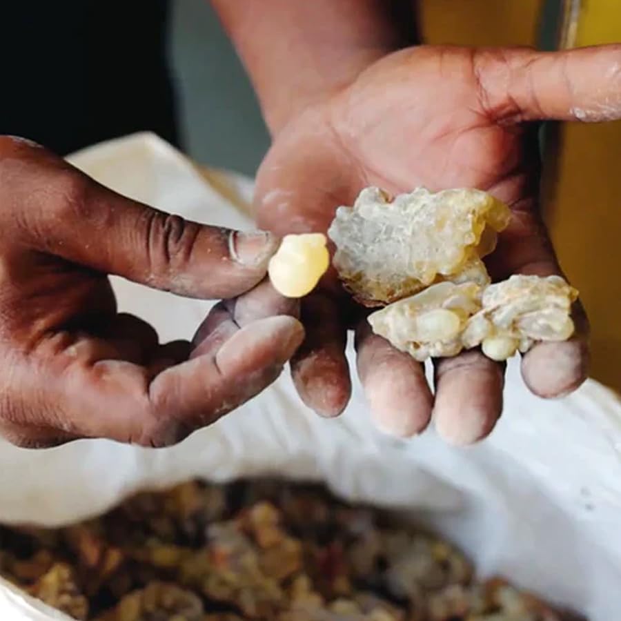 Evanhealy Frankincense hydrosol packaging highlights sustainable harvesting.