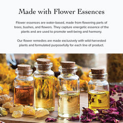 Packaging on shelf conveys premium natural skincare by Evanhealy.