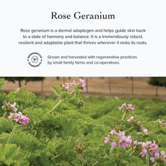 Evanhealy Rose Cleansing Milk after-use skin feels relaxed.