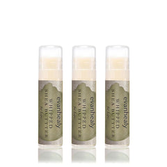 evanhealy Whipped Shea Butter Lips Pack delivers lasting moisture for dry lips in a portable tube