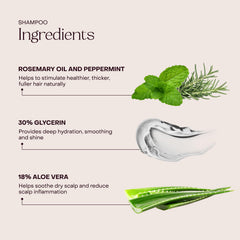 Everist conditioner smoothing close-up shows glossy, manageable hair.
