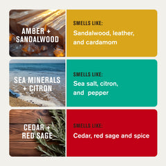 Every Man Jack sea minerals citron deodorant bottle offers refreshing daytime scent