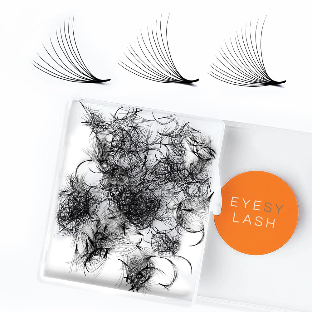 Eyesy Lash 500 Promade Fans case shows compact, cost-effective storage for quick applications.