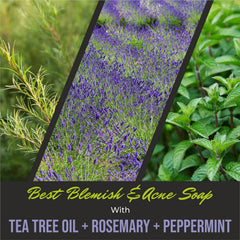 First Botany Rosemary Mint shower scene suits active lifestyles