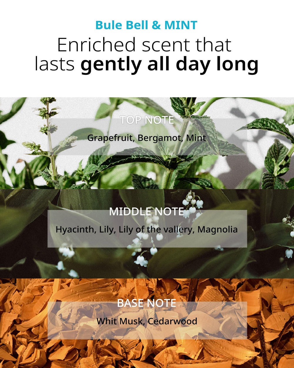 FIT YOUR SKIN San Tteut hair strands look hydrated and smooth.