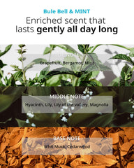 FIT YOUR SKIN San Tteut hair strands look hydrated and smooth.