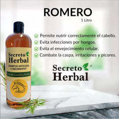 Five Brothers Secreto Herbal Shampoo rosemary aroma calms the scalp and balances sebum.