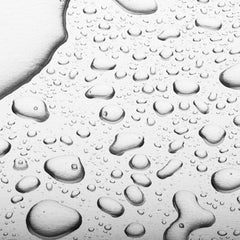 Dry hair after mist shows reduced static and added shine with Freewill mist.